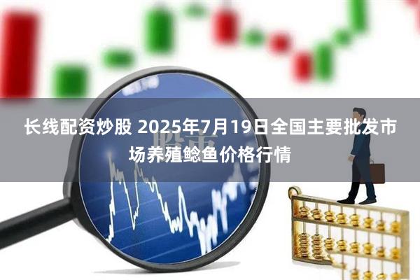 长线配资炒股 2025年7月19日全国主要批发市场养殖鲶鱼价格行情