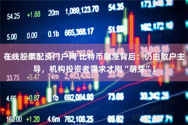 在线股票配资门户网 比特币飙涨背后：仍由散户主导，机构投资者需求才刚“萌芽”！