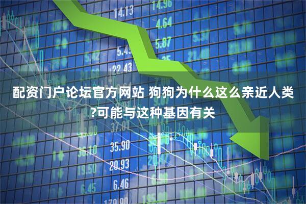 配资门户论坛官方网站 狗狗为什么这么亲近人类?可能与这种基因有关