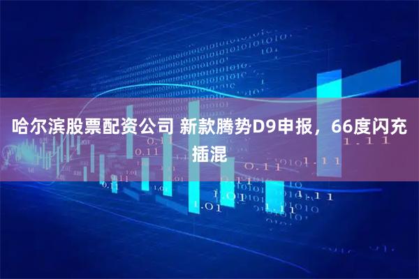 哈尔滨股票配资公司 新款腾势D9申报，66度闪充插混