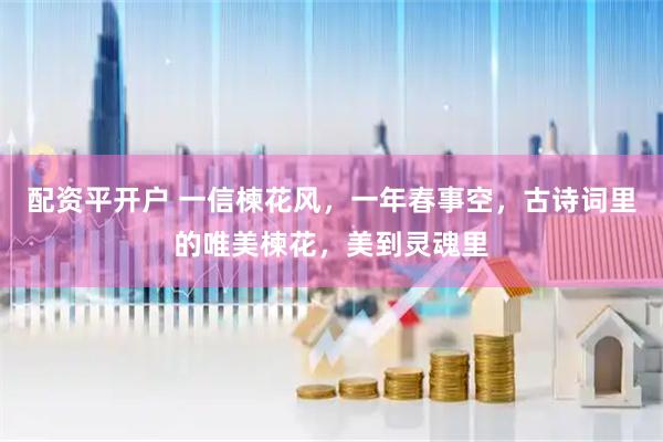 配资平开户 一信楝花风，一年春事空，古诗词里的唯美楝花，美到灵魂里