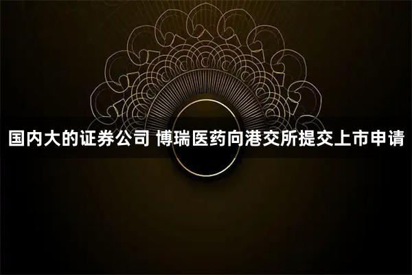 国内大的证券公司 博瑞医药向港交所提交上市申请