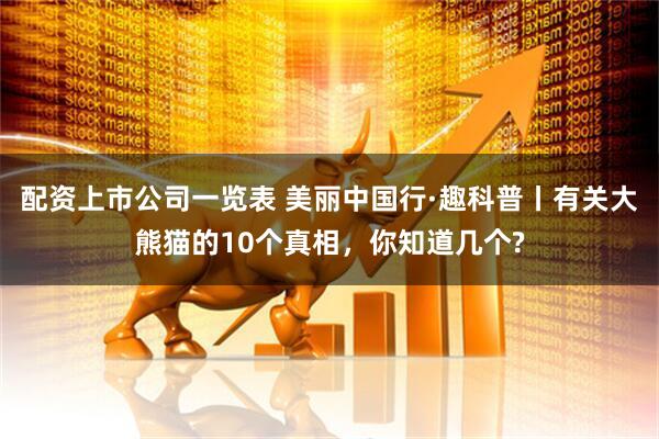 配资上市公司一览表 美丽中国行·趣科普丨有关大熊猫的10个真相，你知道几个?