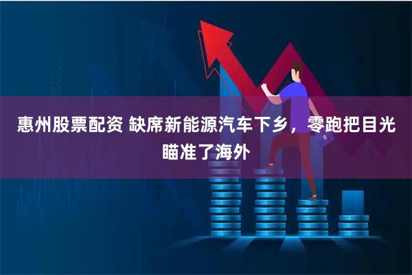 惠州股票配资 缺席新能源汽车下乡,零跑把目光瞄准了海外